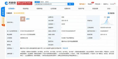愛奇藝在重慶成立科技公司，拓展創業空間與信息系統集成服務