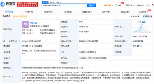 新東方拓展西藏市場(chǎng) 成立互聯(lián)網(wǎng)銷售子公司，注冊(cè)資本100萬(wàn)元
